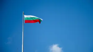 Поле з соняшниками біля колишнього пункту пропуску «Кардам» на кордоні Болгарії з Румунією, де впав безпілотник