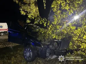 Місце аварії біля села Черник у Закарпатській області, де Chevrolet Lacetti в'їхав у дерево