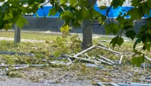 Ганжа повідомив про удар по компанії зв’язку в центрі Дніпра: хто і що сказав
